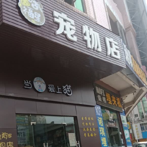 福星宠物店:东莞市大朗镇巷头附近