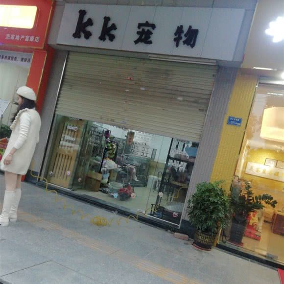 KK宠物工作室:东莞市黄江镇黄江天虹附近