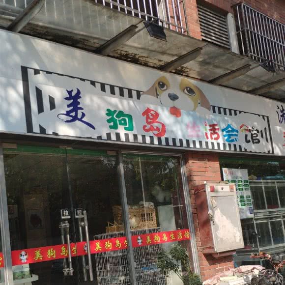 美狗岛生活馆:东莞市黄江镇黄江大道附近