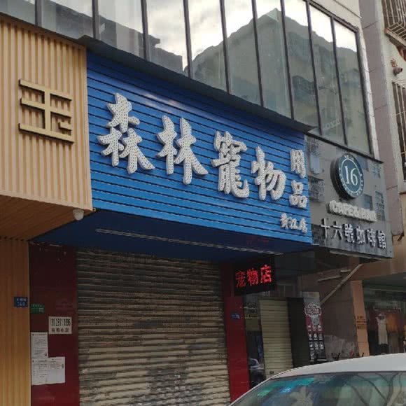 森林宠物用品(黄江店):东莞市黄江镇黄江大道附近
