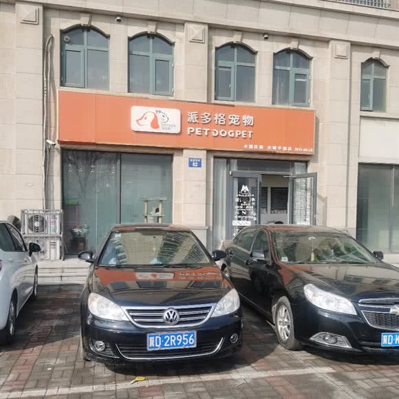 派多格宠物(汉城华都店):邯郸市丛台区高开区附近