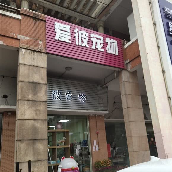 爱彼宠物:东莞市寮步镇寮步镇中心城区附近