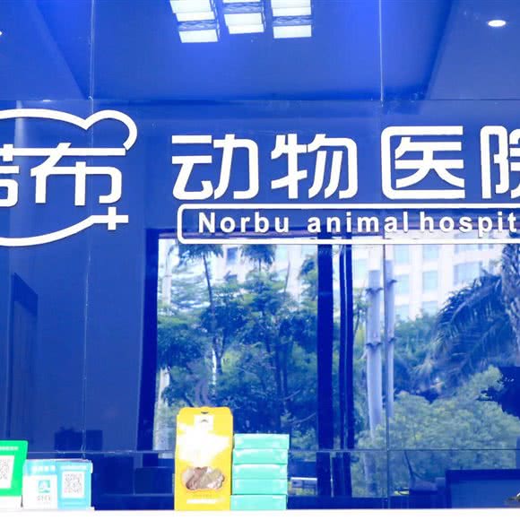 诺布动物医院(24小时寮步店):东莞市寮步镇寮步镇中心城区附近