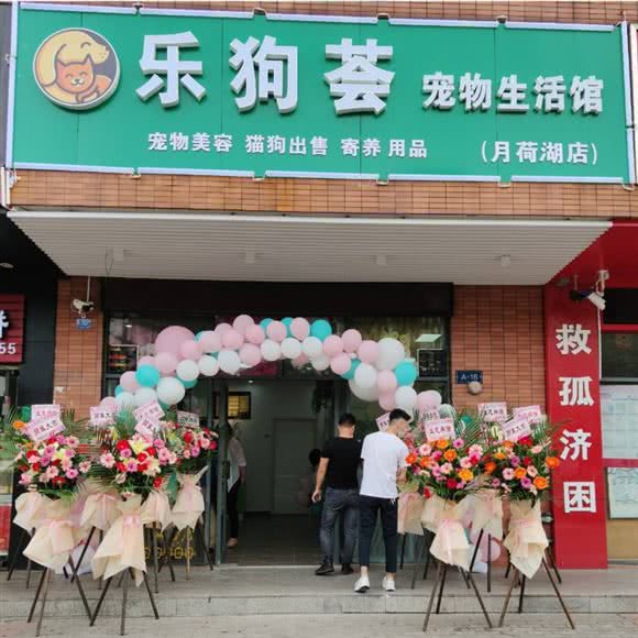 乐狗荟宠物生活馆(月荷湖店):东莞市寮步镇创意生活城附近