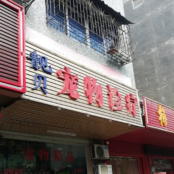 靓贝宠物诊疗:东莞市寮步镇汽车客运东站附近