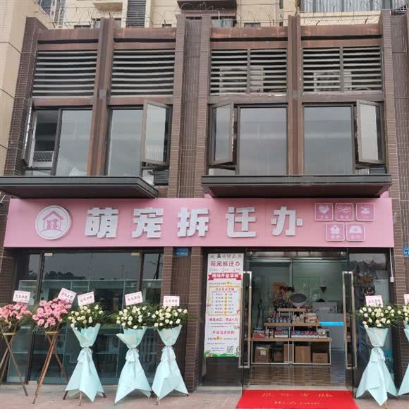 萌宠拆迁办:东莞市寮步镇理工城市学院附近