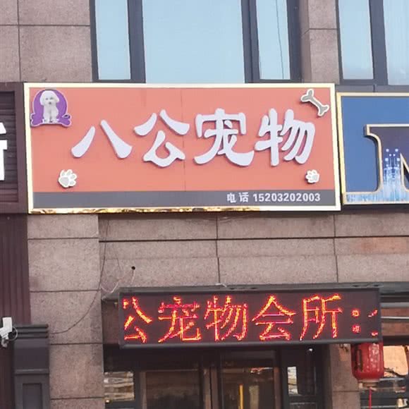 八公宠物:邯郸市丛台区高开区附近