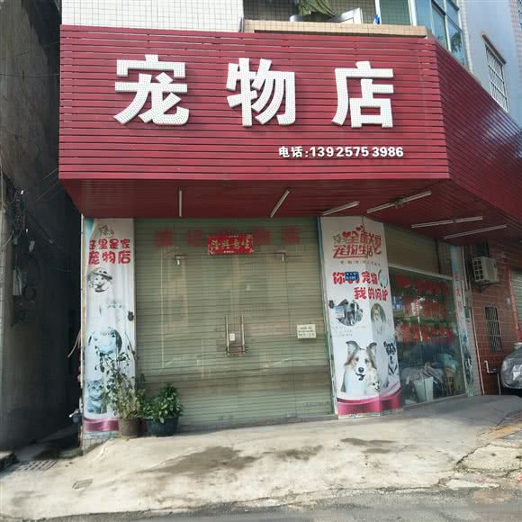 波记宠物店:东莞市企石镇企石镇中心城区附近