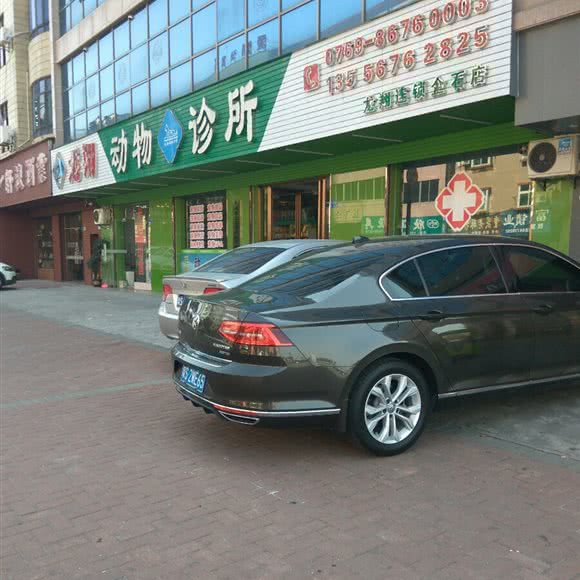 龙翔动物诊所(企石店):东莞市企石镇企石镇中心城区附近