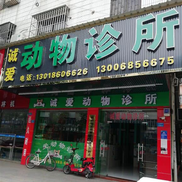 诚爱动物诊所:东莞市企石镇宝石路/振华路附近