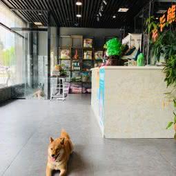 卡卡熊宠物生活馆:东莞市塘厦镇万科/隆福花园附近