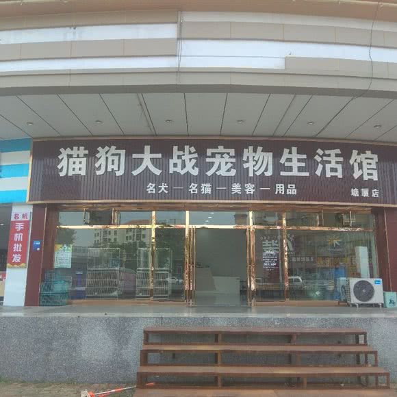 猫狗大战宠物狗生活馆:东莞市塘厦镇新大新百货附近