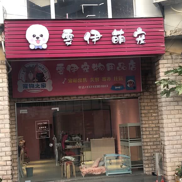 雯萨萌宠:东莞市清溪镇金阳广场/天和百货附近