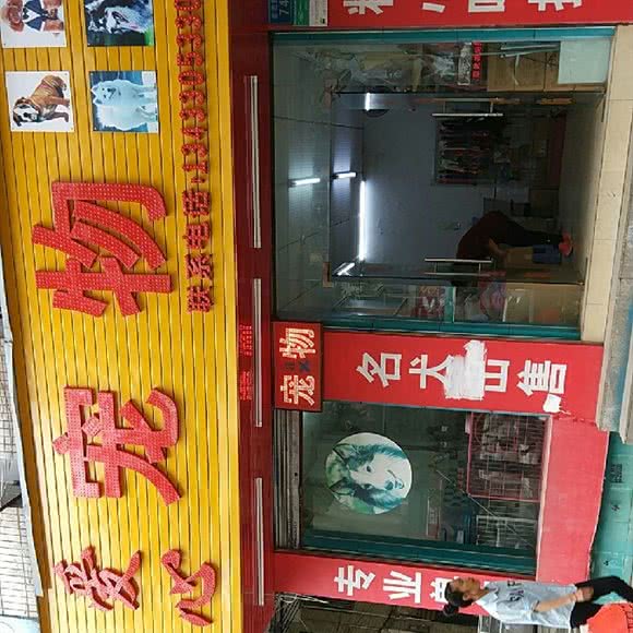爱心宠物店:东莞市清溪镇清溪汽车客运站附近