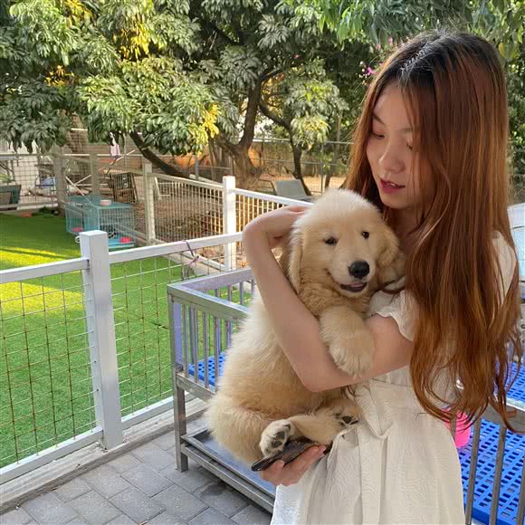 东莞越萌名宠山庄犬舍:东莞市清溪镇清溪汽车客运站附近
