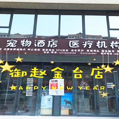 1987宠物酒店医疗机构:邯郸市丛台区高开区附近