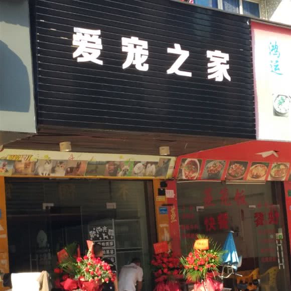 爱宠之家(荣华街店):东莞市石碣镇石碣镇附近