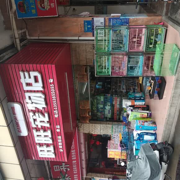 旺旺宠物店:东莞市石碣镇石碣镇附近