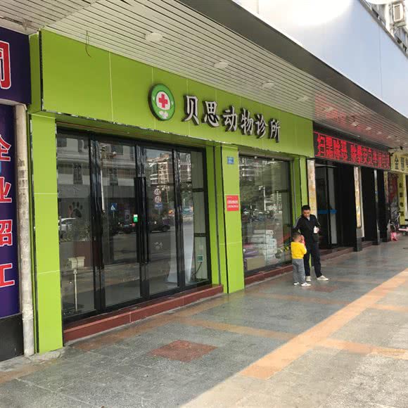 贝思动物诊所:东莞市石碣镇石碣镇附近