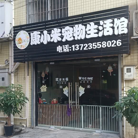 康小米宠物生活馆:东莞市茶山镇茶山镇附近