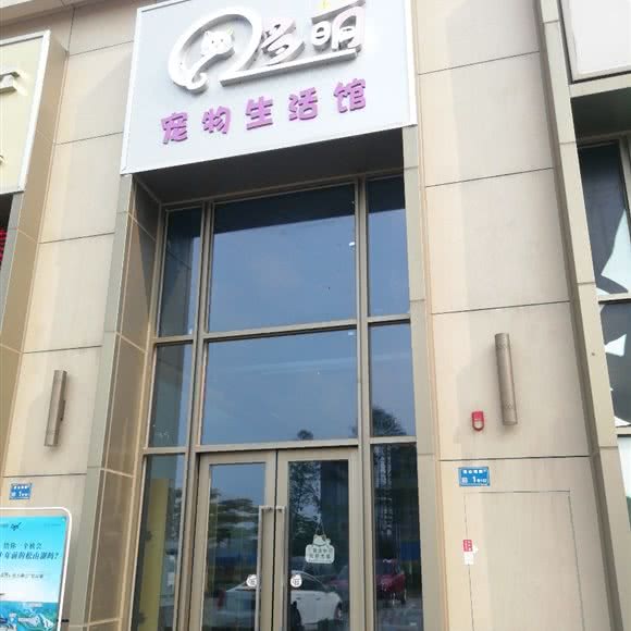哆萌宠物生活馆:东莞市茶山镇茶山镇附近