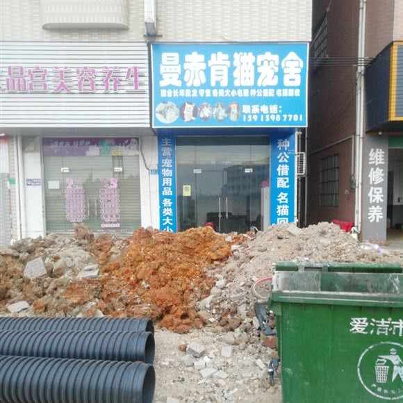 曼赤肯猫宠舍:东莞市茶山镇茶山镇附近