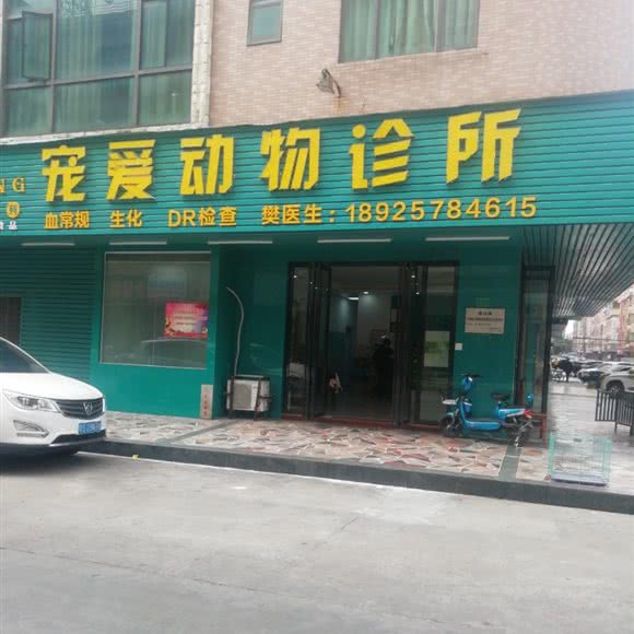 宠爱动物诊所:东莞市茶山镇茶山镇附近