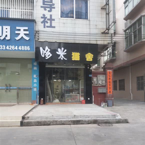 哆米猫舍:东莞市石排镇石排镇附近