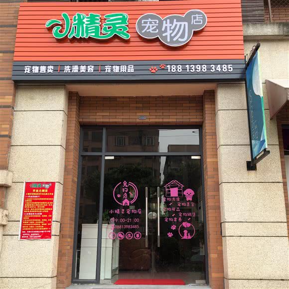 小精灵宠物店:东莞市东坑镇东坑镇附近