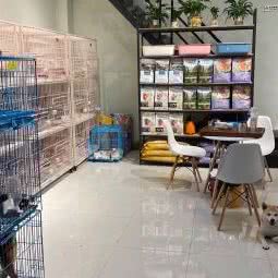 缘来是宠?狗狗生活馆:东莞市沙田镇沙田镇附近