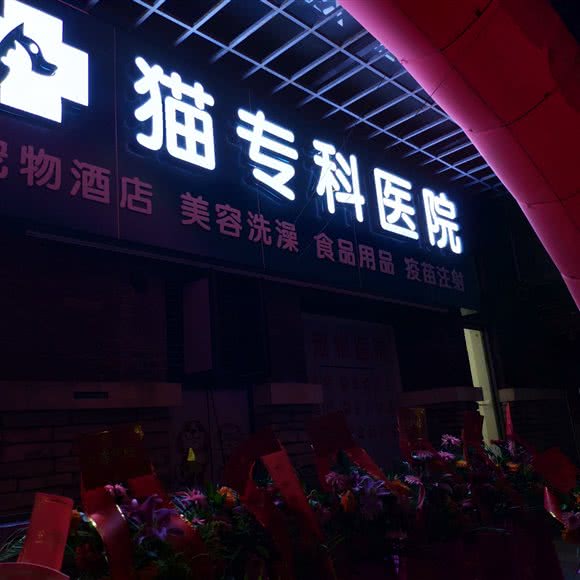猫专科医院:中山市东区街道远洋城附近