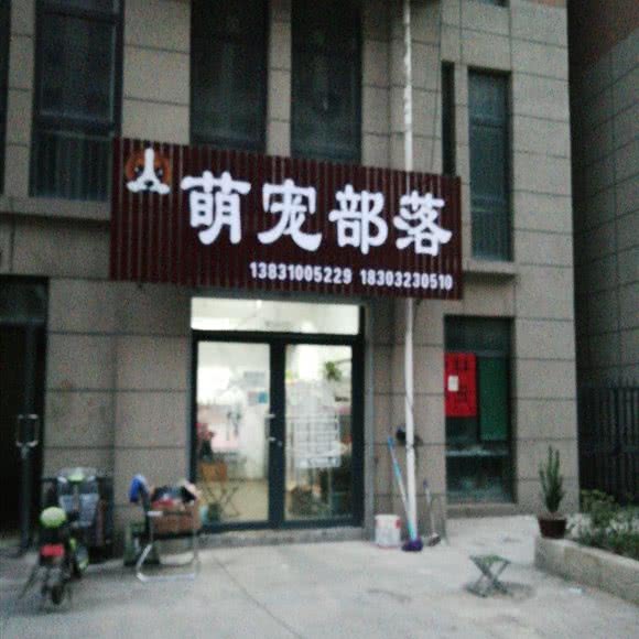 萌宠部落:邯郸市丛台区稽山新天地附近