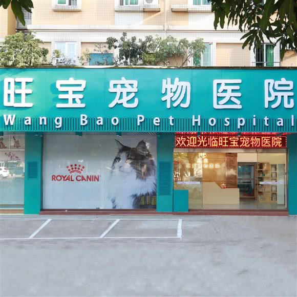 旺宝宠物医院(顺景诊疗中心):中山市东区街道库充一带附近