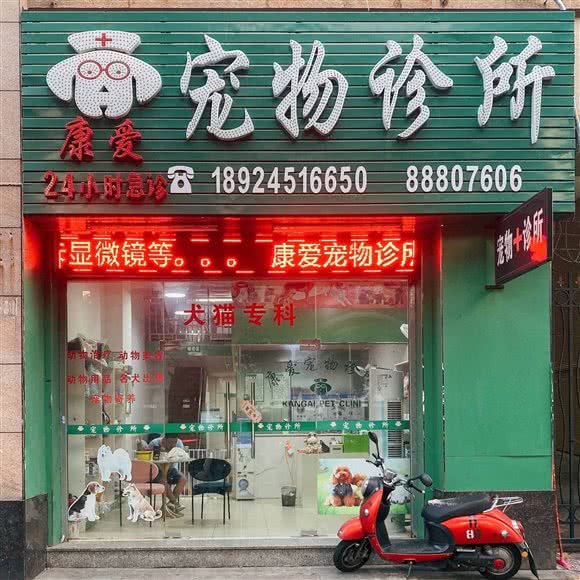 康爱宠物诊所:中山市东区街道南下新码头附近