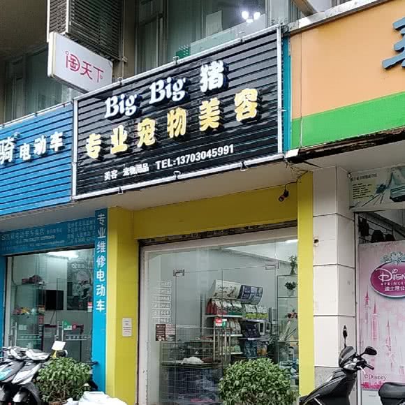 老忠宠物生活馆:中山市石岐街道大信新都汇附近