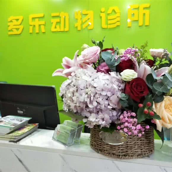 多乐动物诊所:中山市石岐街道大信新都汇附近