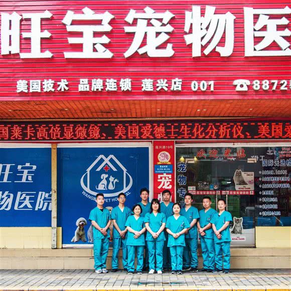 旺宝宠物医院(莲兴店):中山市石岐街道大信新都汇附近