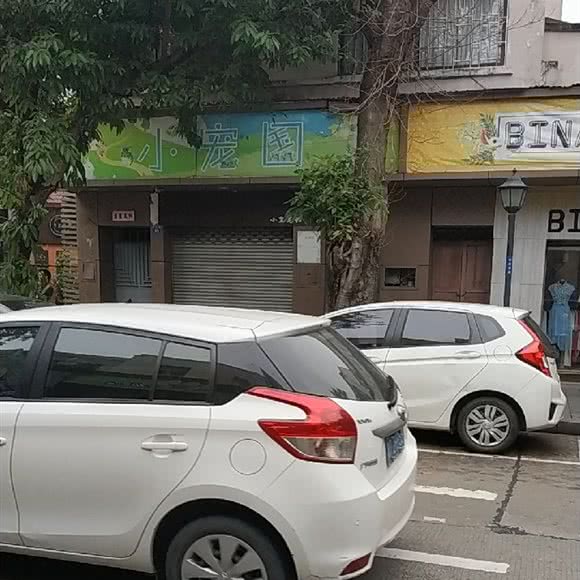 小宠国:中山市石岐街道逢源商业街附近