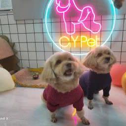 宠吖宠物美学工作室:邯郸市丛台区万达广场附近