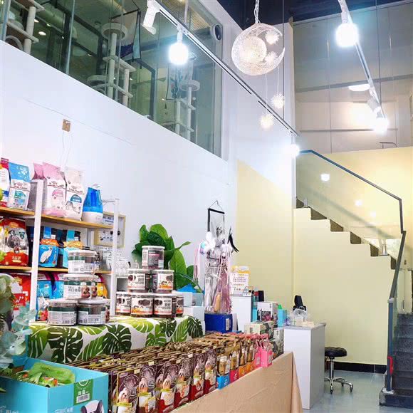 恩宠·宠物(北区汇星豪庭分店):中山市石岐街道峰华28广场附近