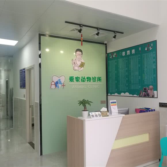 爱家动物诊所:中山市石岐街道峰华28广场附近