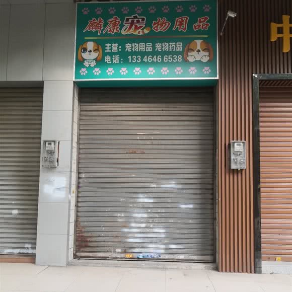 麟康宠物用品:中山市西区街道黄金广场/汽车总站附近