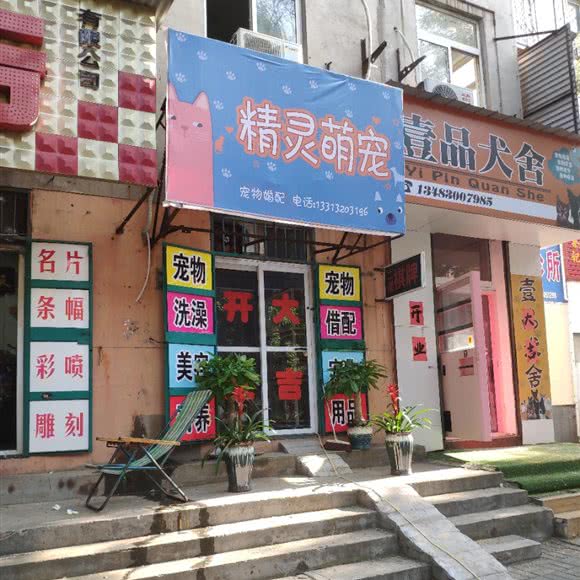 恶魔萌宠:邯郸市丛台区万达广场附近