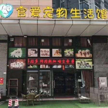 官爱宠物生活馆:中山市南区街道星汇云锦附近
