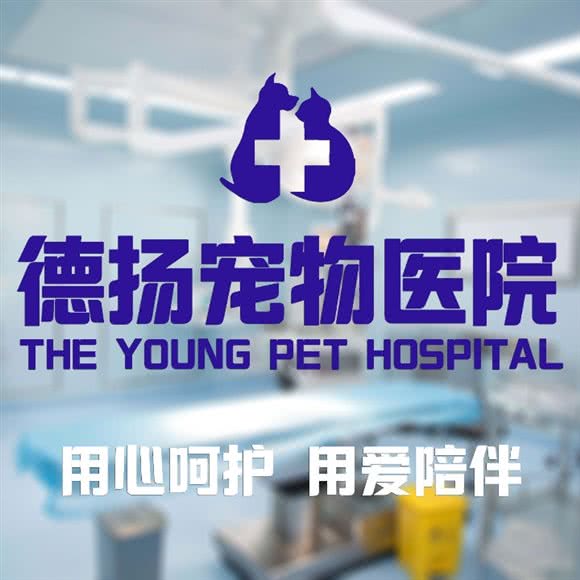 德扬宠物医院(中山诊疗中心):中山市火炬高技术产业开发区张家边华润万家附近
