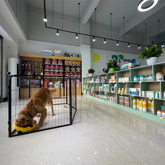 宠道伴侣犬工作室:中山市火炬高技术产业开发区中山港壹加壹附近