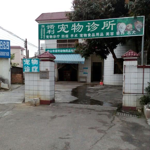 诺利宠物诊所:中山市三乡镇三乡市场附近