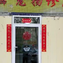 望岭宠物医院:邯郸市丛台区万达广场附近