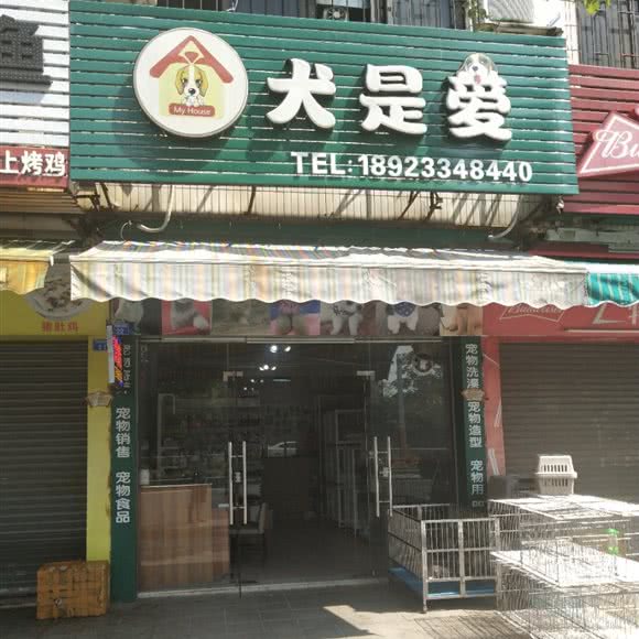 犬是爱:中山市三乡镇雅居乐花园附近