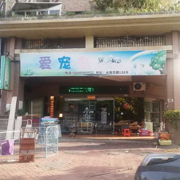 爱宠岛宠物店:中山市沙溪镇星宝附近